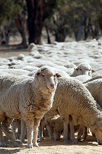 Photographer: Craig Davies